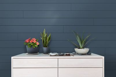 Timeless Nickel Gap Cavalry Blue Shiplap behind Cabinet