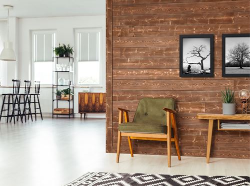 Charred Canyon Shiplap in mid century modern home 