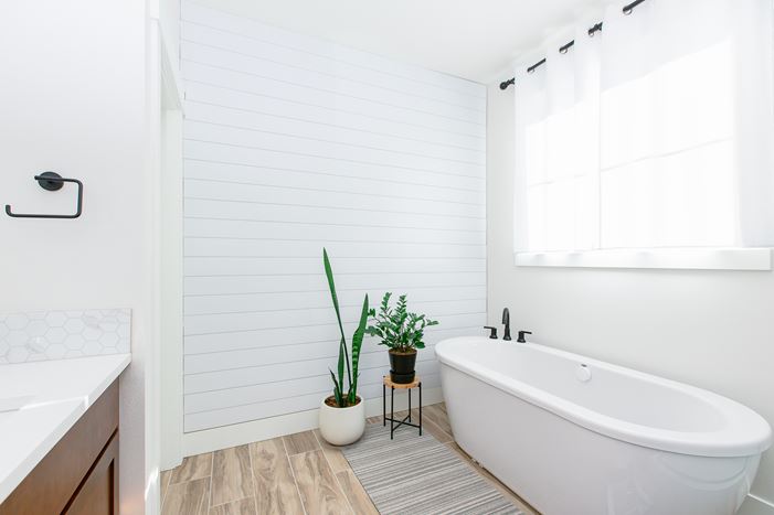 Bathroom Shiplap Wall