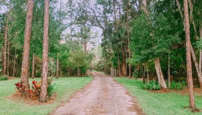 PalmGrove Farmhouse entrance