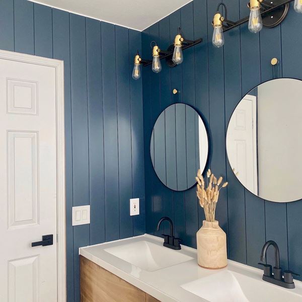 Timeless Cavalry Blue shiplap bathroom mirror plant 