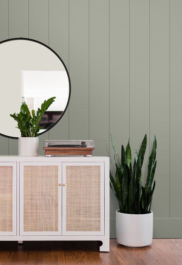 Sage green shiplap accent wall mid century modern decor