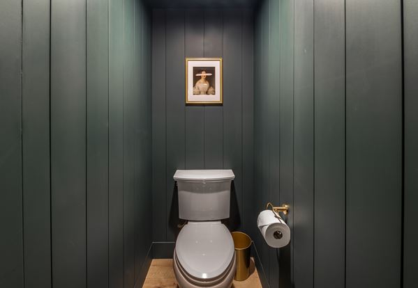 Eclectic modern green shiplap bathroom featuring Timeless shiplap toilet contemporary art