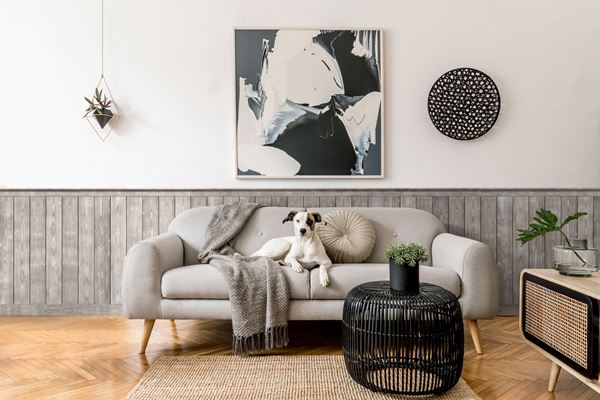 Charred Smoke White shiplap as wainscoting application