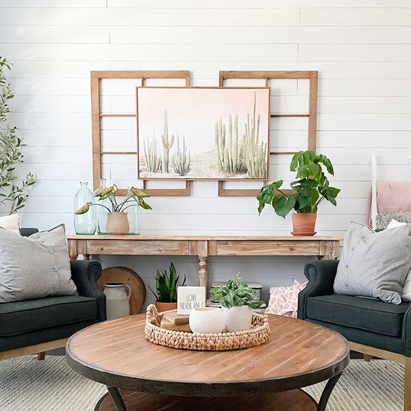 Timeless Farmhouse White shiplap accent wall with cactus decor centered