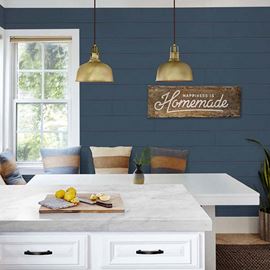 Modern kitchen with cavalry blue timeless nickel gap shiplap wall