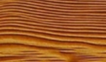 Cedar