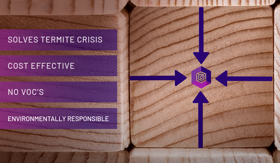 Designed with Innovation at Its Core