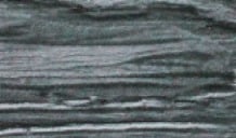 Fossil
