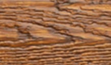 Sequoia
