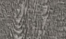 Shale